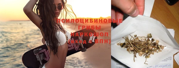 стаф Дмитровск