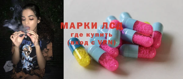 стаф Дмитровск