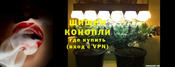 стаф Дмитровск
