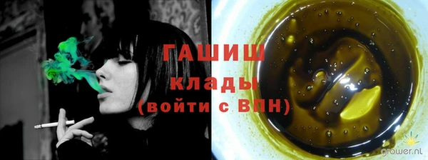 стаф Дмитровск