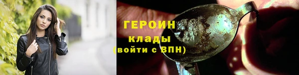 стаф Дмитровск