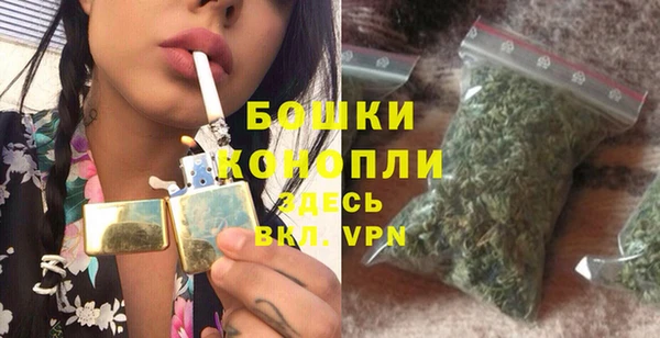 стаф Дмитровск