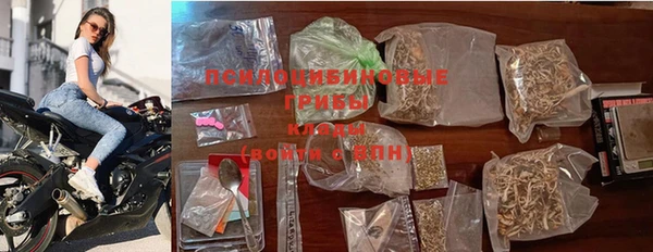 стаф Дмитровск